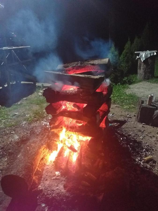 Nucşoara Cabana Valea Bradului מראה חיצוני תמונה
